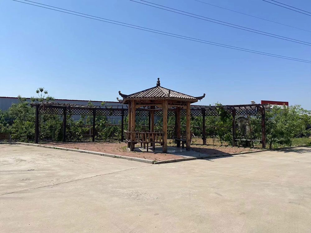 厂区环境
